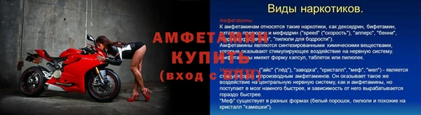 ГАЛЛЮЦИНОГЕННЫЕ ГРИБЫ Бородино
