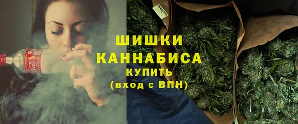 ГАЛЛЮЦИНОГЕННЫЕ ГРИБЫ Бородино