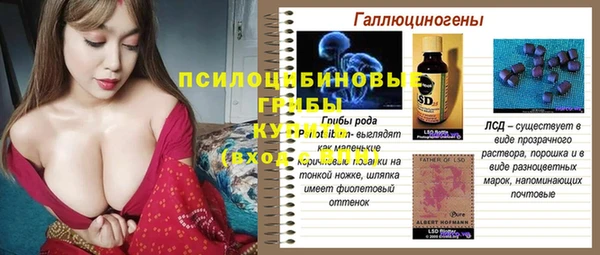 ГАЛЛЮЦИНОГЕННЫЕ ГРИБЫ Бородино