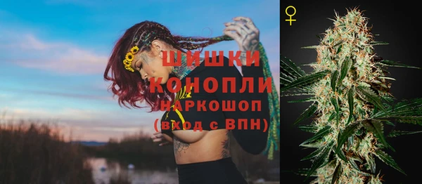 ГАЛЛЮЦИНОГЕННЫЕ ГРИБЫ Бородино