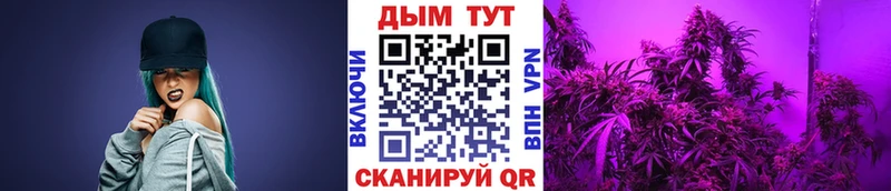 Канабис Amnesia Тольятти